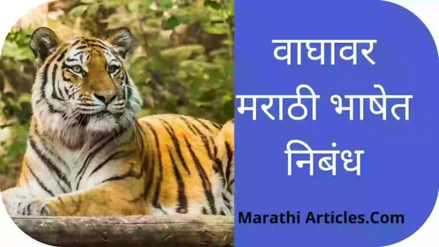 Essay on tiger in Marathi