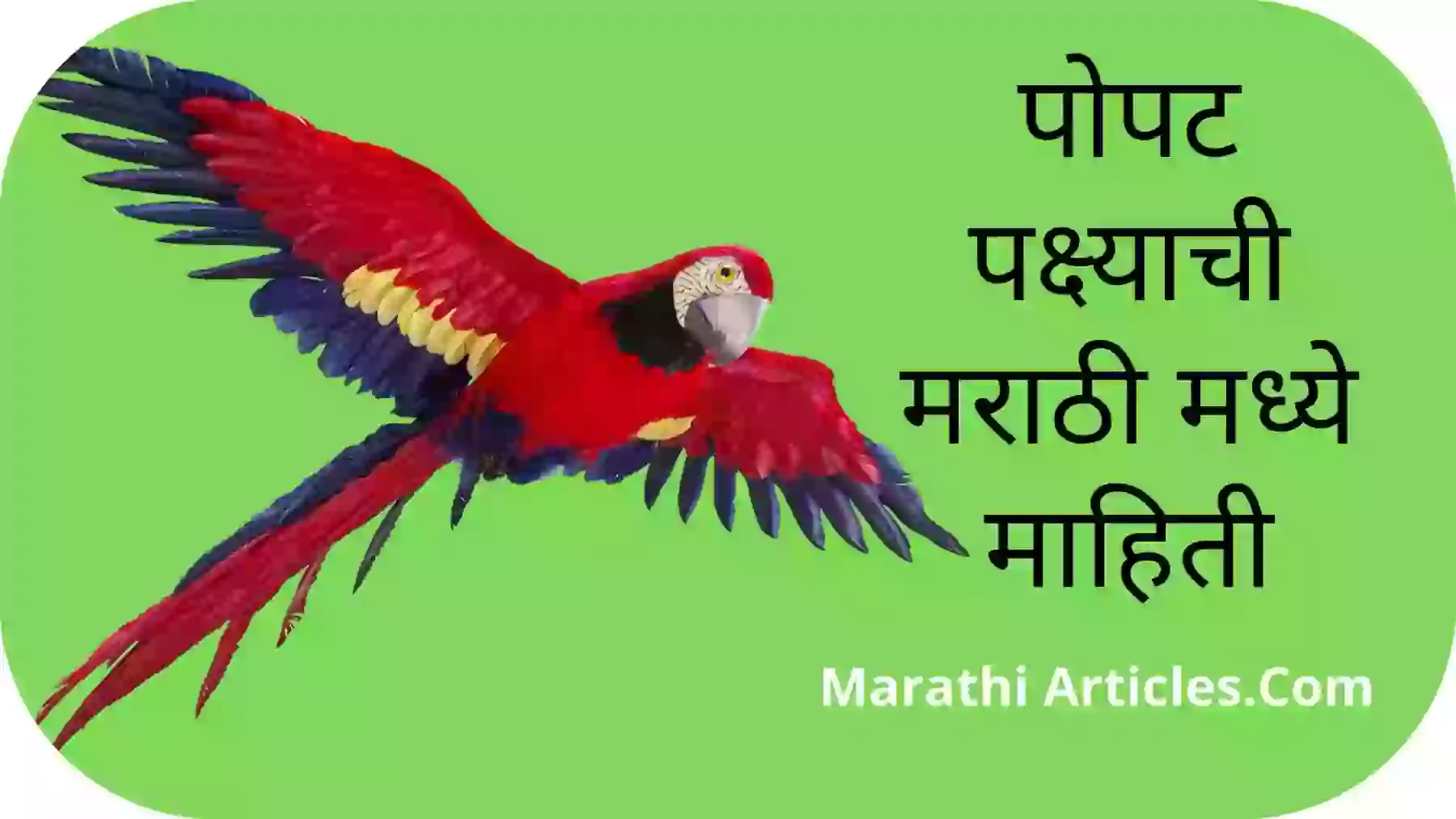 information about parrot in marathi