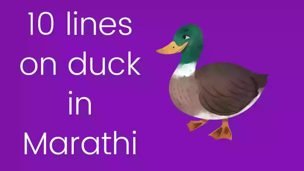 10 lines on duck in Marathi
