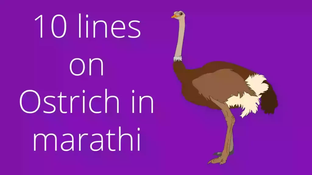 10 lines on ostrich in Marathi