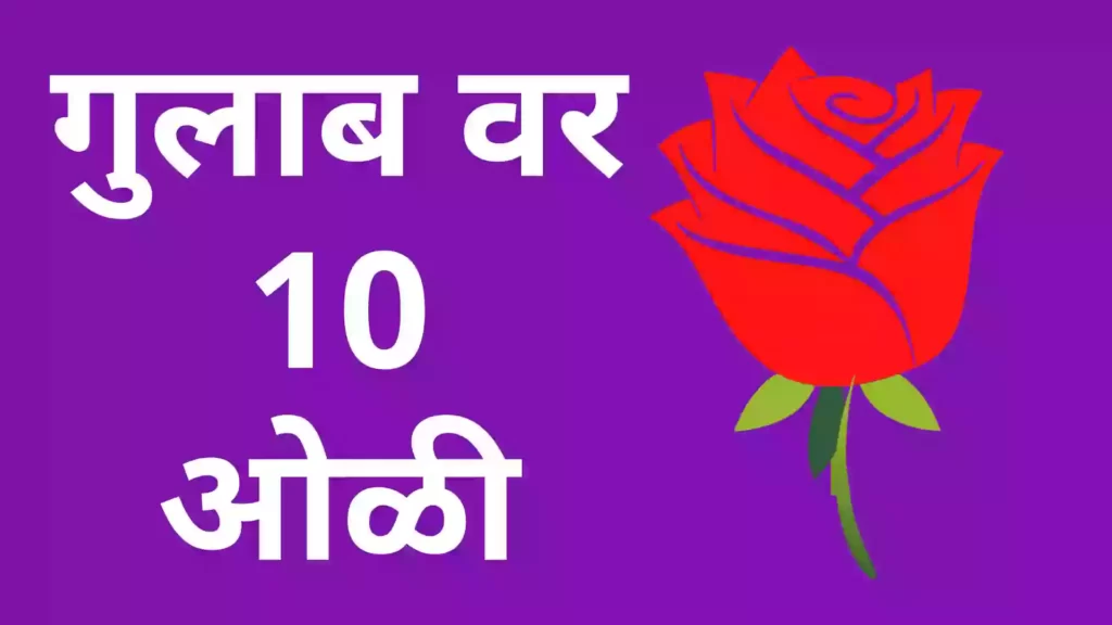 10 lines on rose in Marathi